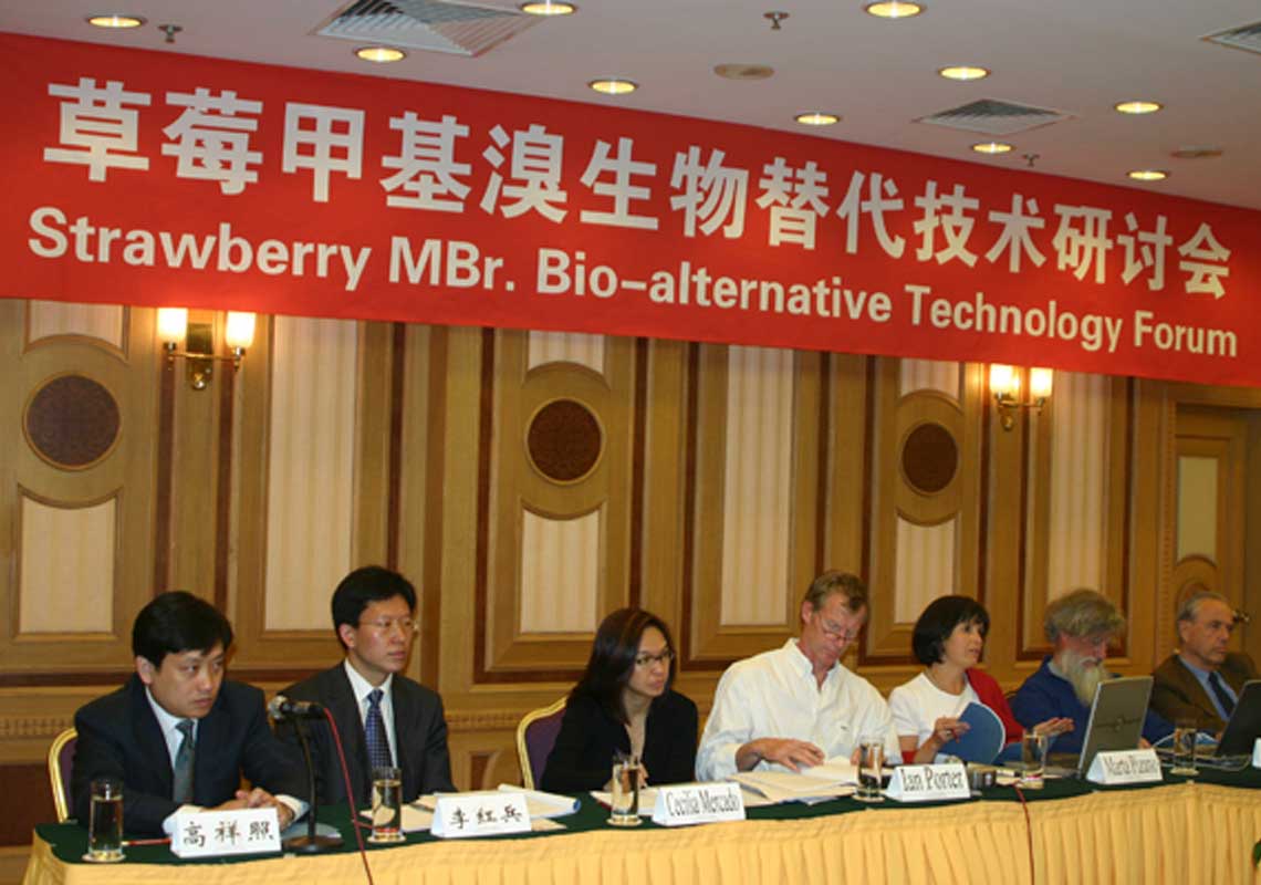 聯(lián)合國環(huán)境署、聯(lián)合國工發(fā)組織等機構出席了我公司舉行的草莓甲基溴生物替代技術(shù)研討會(huì )